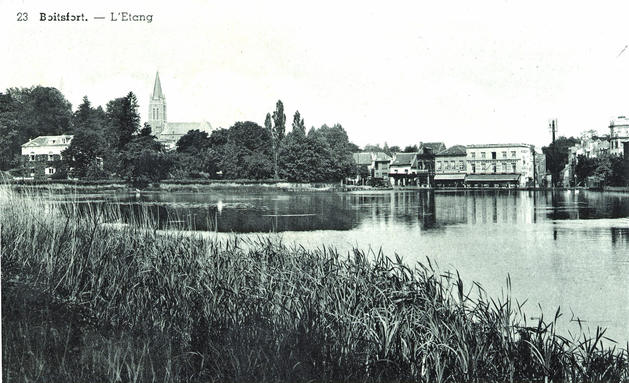 Etang L'Etang 1961, Photo Paysagiste Bxl, coll. Geoffroy Schmitz L'étang de Boitsfort. Sa surface a été légèrement réduite suite à la création de l'avenue de la Foresterie (Carte postale Photo Paysagiste, vers 1950).
