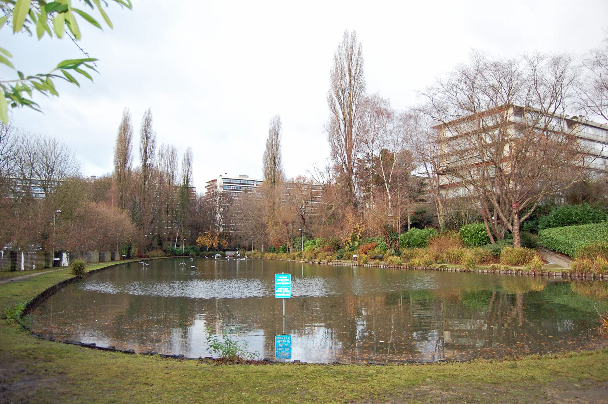 Etang de Tercoigne - Photo WD 2018 L'étang de Tercoigne, aménagé par René Pechère (Photo Willy Delhaye, 2018).